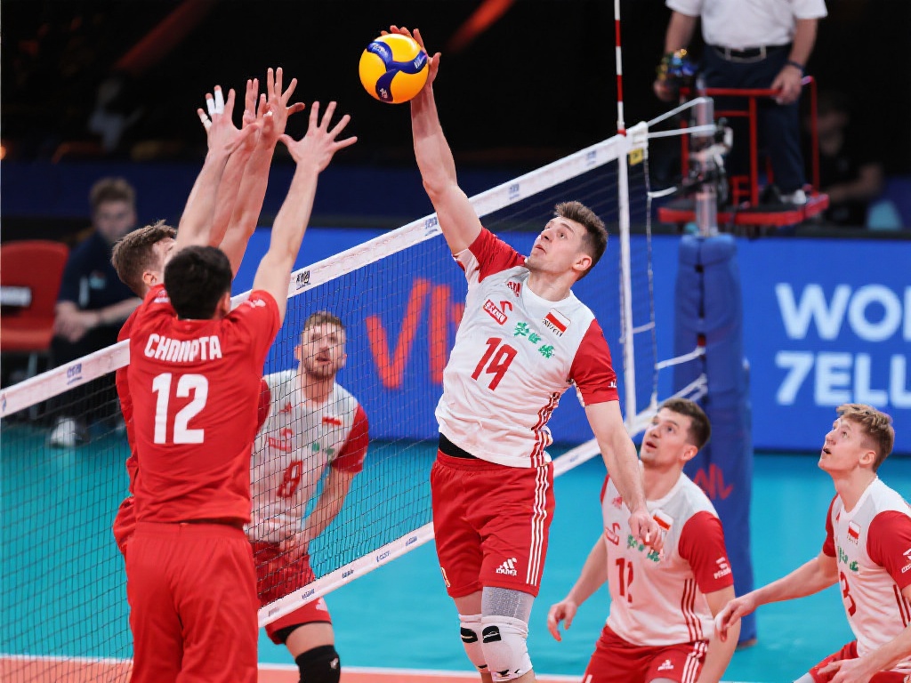 的防守反击 的防守反击